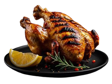 chicken e1787825045552